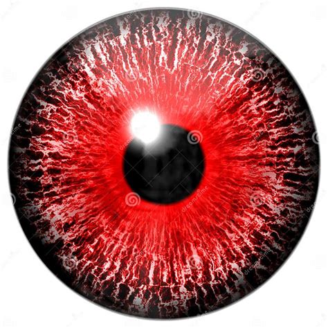 Texture Red Eye Stock Photo Image Of Element Grey 118414746