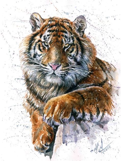Tiger watercolor, an art print by Konstantin Kalinin | Акварельные ...