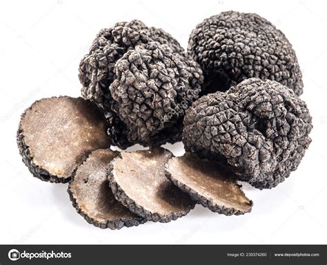 Black Truffles Isolated White Background Stock Photo By Valentyn