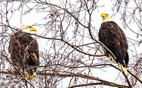 Conway Skagit County Washington State Shawn Crowley Flickr