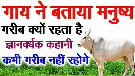 गाय ने बताया मनुष्यगरीब क्यों रहता हैज्ञानवर्धक कहानी। Cow