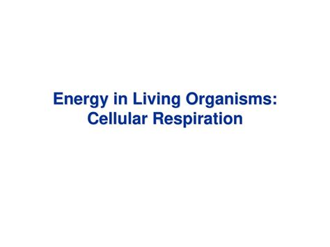 Energy In Living Organisms Cellular Respiration Ppt Download