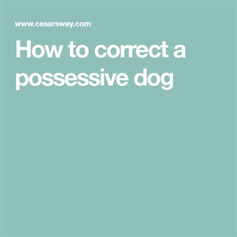 How To Correct A Possessive Dog Cesars Way Possessives Correction