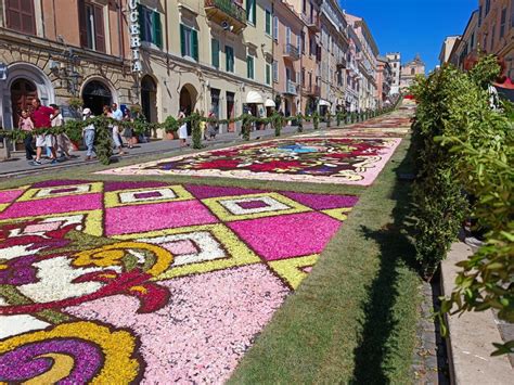 Infiorata Di Genzano Infiorata Di Genzano