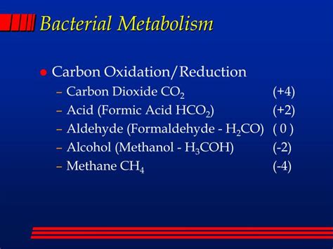 Ppt Bacterial Metabolism Powerpoint Presentation Id5691652