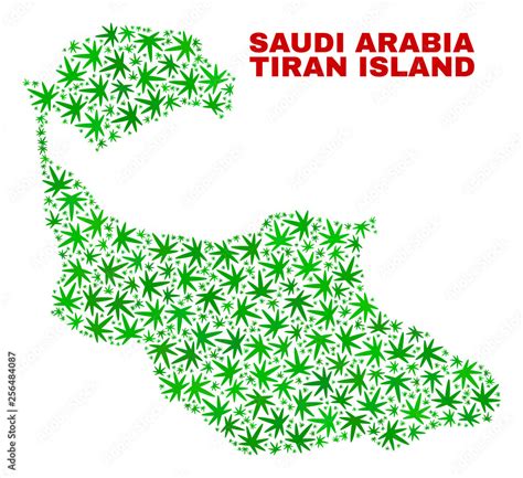 Vector cannabis Tiran Island map mosaic. Template with green weed ...