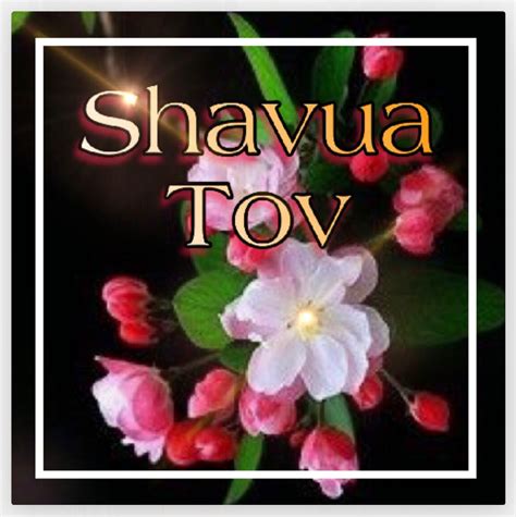 Pin By Prili Sazo On Shavua Tov Shavua Tov Shabbat Shalom Shabbat