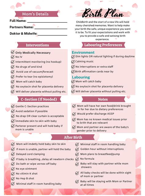 Printable Birth Plan Template Birth Plan Editable Crafting Etsy