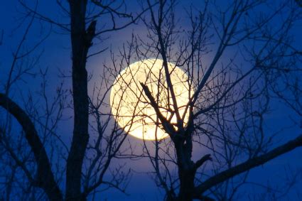 Full Moon Love Spells – Free Witchcraft Spells