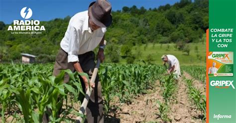 La Sag Anuncia Estrategia Para Apoyar La Producci N De Granos B Sicos