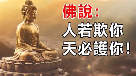 佛說人若欺你天必護你到什麼時候都別忘了善有善報惡有惡果懂福惜福的人才會有福好東西 佛說 YouTube