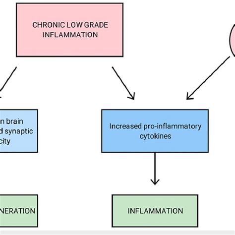 Pathogenesis Of Neurodegeneration Due To Chronic Low Grade Inflammation