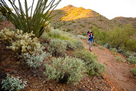 Phoenix Sonoran Preserve