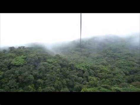 Zip Lining Through A Rain Forest Ziplining Rainforest Outdoor