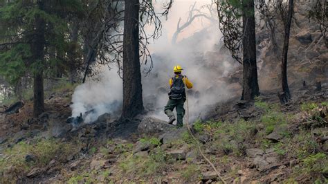 Pacific Northwest Faces Critical Fire Risk as Wildfires Burn - The New ...