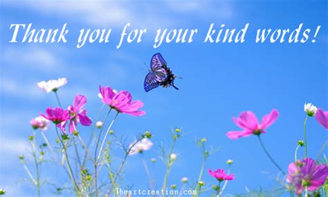 Kind Words Free Congratulations Ecards Greeting Cards Greetings