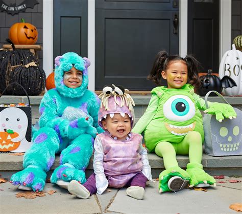 Sulley Monsters Inc Costume