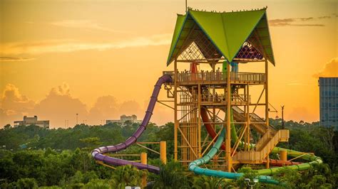 Aquatica Orlando: The Ultimate Guide for Families - FamilyVacationist