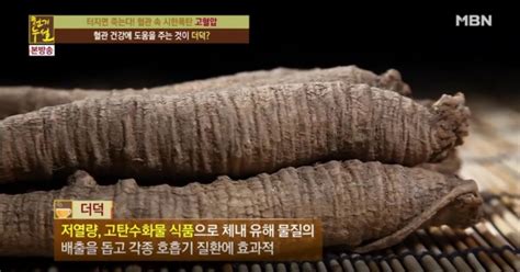 Tv 건강 천기누설 혈관 건강 지키는 제철 식재료 ‘더덕 저열량 고탄수화물 식품