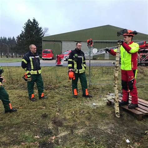 Zwei Fliegen mit einer Klappe Motorsägenausbildung Modul C und