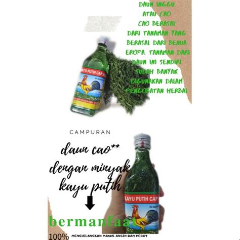 Jual Minyak Kayu Putih Herbal Rendam Daun Cao Cao Shopee Indonesia