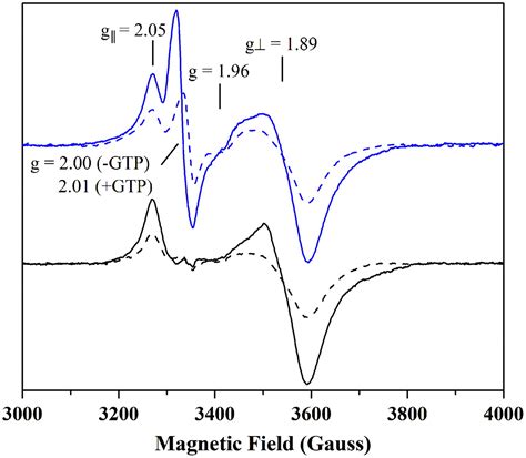 Synthesis of the 2Fe subcluster of the [FeFe]-hydrogenase H cluster on ...