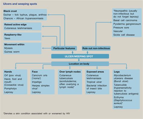 Diagnostic Approach To Tropical Skin Infections Medicine