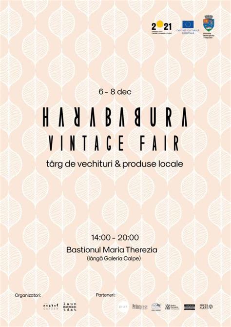 Timișoara Harababura Vintage Fair târg de vechituri și design