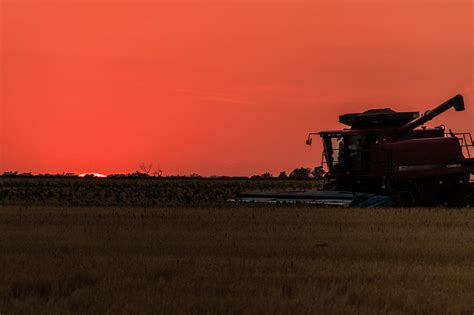 Cutting Wheat Photograph By Jay Stockhaus Fine Art America