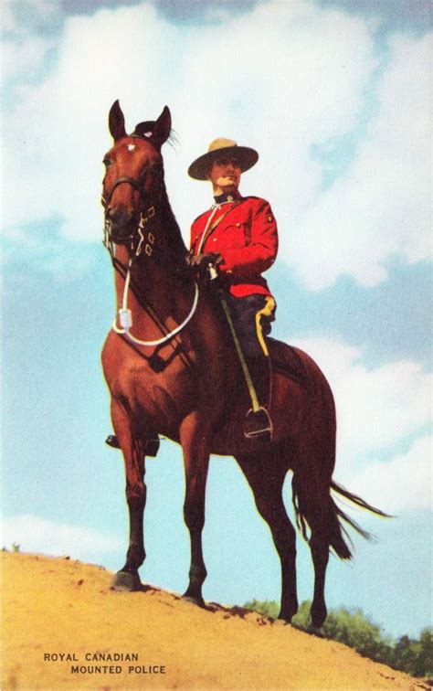 Canada Mountie On Horse Rcmp Original 1940s Postcard Canada Other