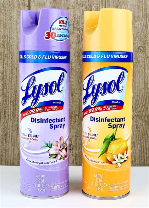 Does Lysol Kill Bed Bugs 6 Better Ways To Get Rid Of Them The Buginator