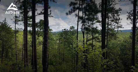 Best Trails in Talladega National Forest - Alabama | AllTrails