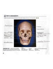 Dad Eec B F A Part D Assessments Identify