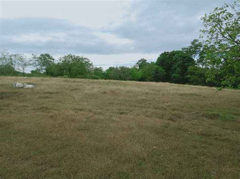 Farm lot for sale, Hilly terrain – PinoySG.co