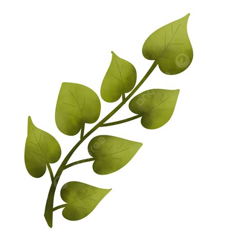 Illustration Of Taro Leaves Leaf Illustration Leaf Taro Leaves Png