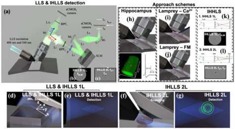 J Imaging Free Full Text Live Cell Light Sheet Imaging With Low