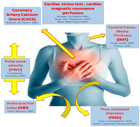 Jcm Free Full Text Impact Of Sex Differences And Diabetes On