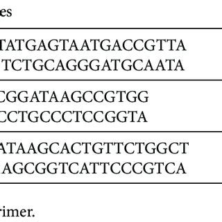 Different patterns of virulence factors among UPEC isolates. | Download ... 