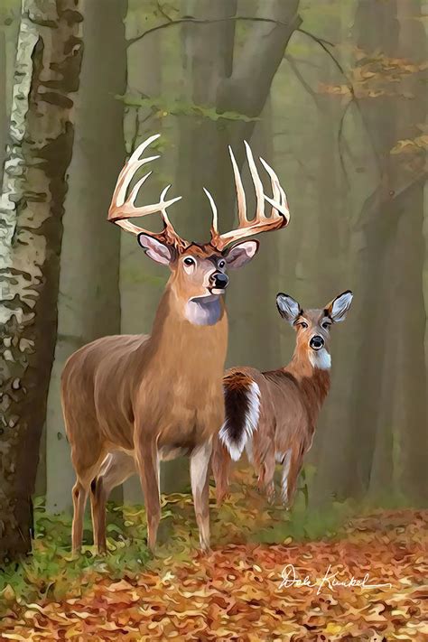 Whitetail Deer Buck And Doe Portrait Ii Painting By Dale Kunkel