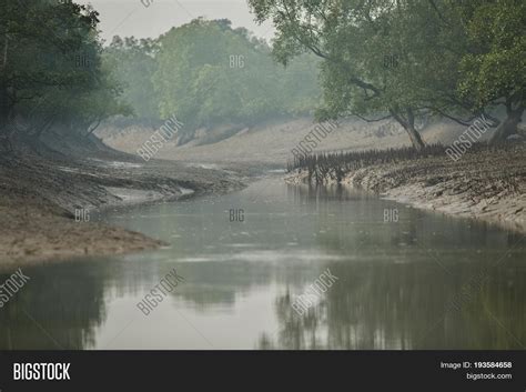 Beauty Sundarbans Image & Photo (Free Trial) | Bigstock