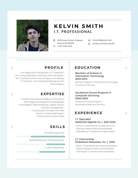 Professional Resume - 14+ Examples, Format, How to Create, PDF