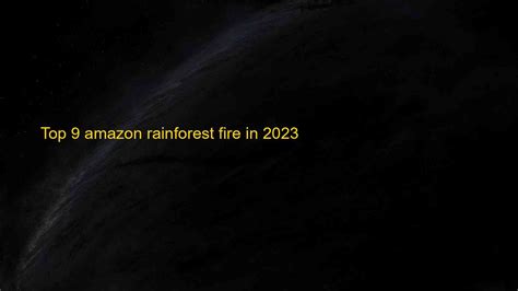 Top 9 amazon rainforest fire in 2023 - Kiến Thức Cho Người lao Động ...