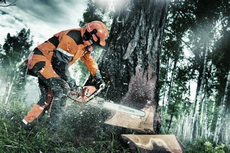 Learn Safe Chainsaw Use Husqvarna Chainsaw Academy