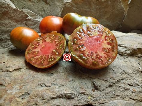 The Best Black Tomatoes Gigant Kuby Tomato Seeds Available Here