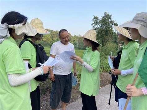 植物保护学院开展“植三农情怀，保绿色生态” 暑期社会实践活动澎湃号·政务澎湃新闻 The Paper