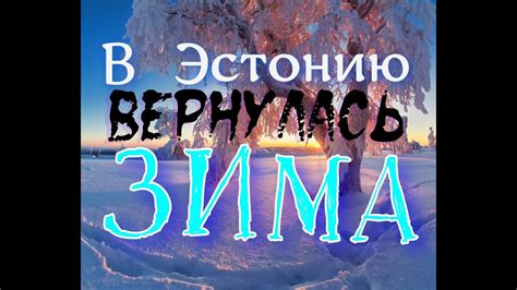 Пришла опять зима в Эстонию - YouTube