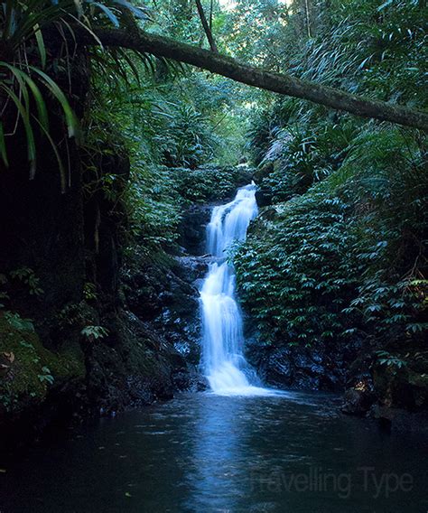 Chasing Waterfalls in Lamington National Park