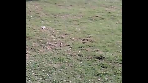 Indian Aunty Mast Grand Free Mobile Porn Videos IPornTV