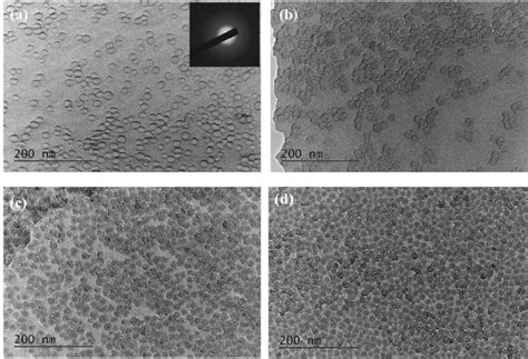 TEM Images Of Porous Films Of Nb2O5 Prepared By Mixing Nb Sol And A