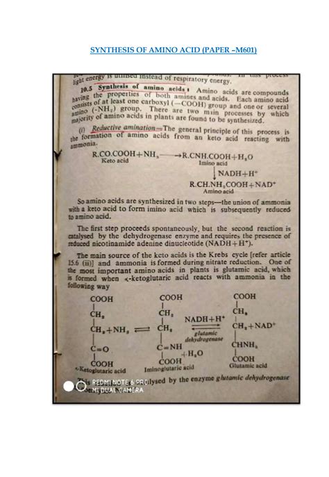 Is Nh3 An Acid Or Base news